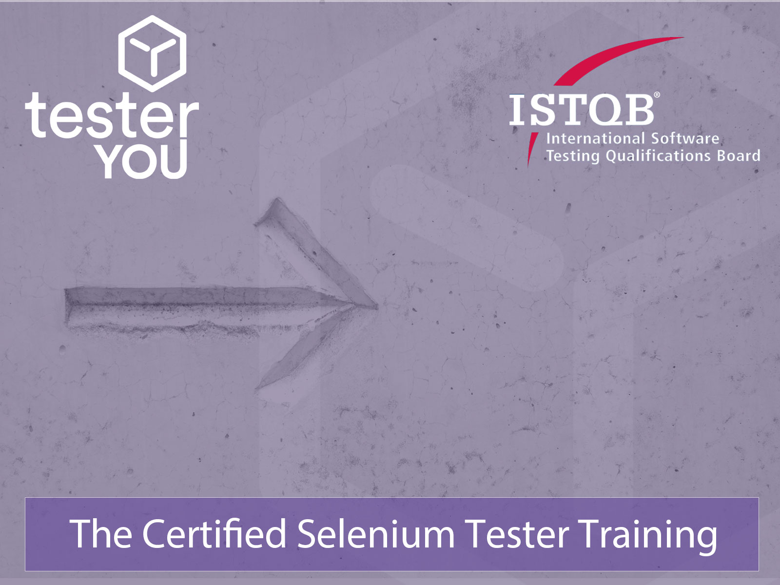 The Certified Selenium Tester Training TesterYou